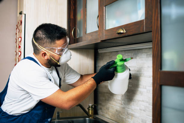 Best Pest Control for Homes  in Oak Harbor, WA