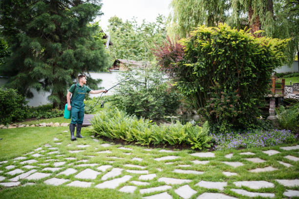 Best Pest Control Near Me  in Oak Harbor, WA
