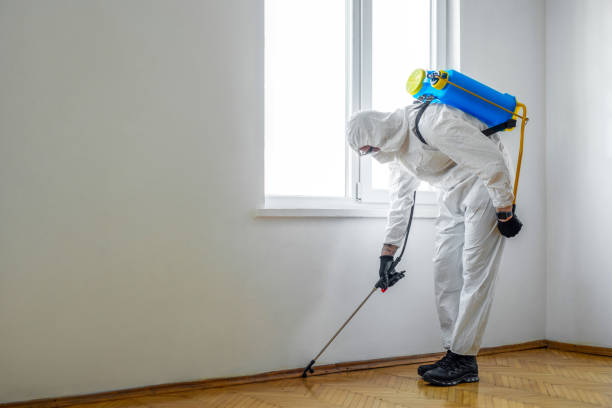 Best Wildlife Control Services  in Oak Harbor, WA