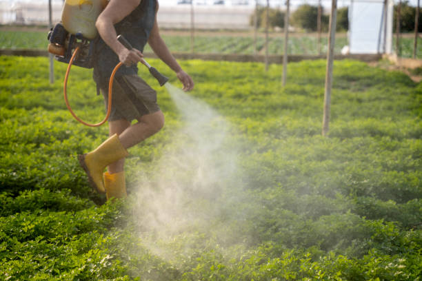 Best Affordable Pest Control Services  in Oak Harbor, WA