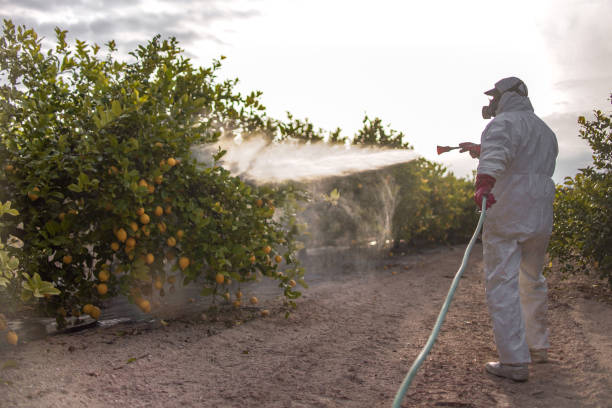 Best Pest Control for Businesses  in Oak Harbor, WA