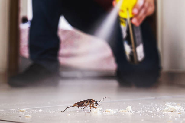 Best Cockroach Control Services  in Oak Harbor, WA