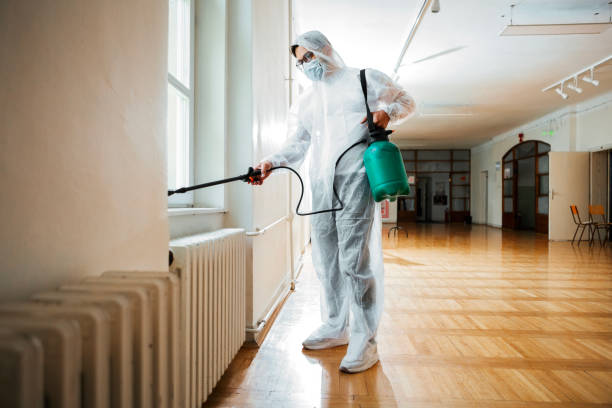 Flea Control Services in Oak Harbor, WA