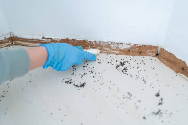 Best Exterminator Services  in Oak Harbor, WA