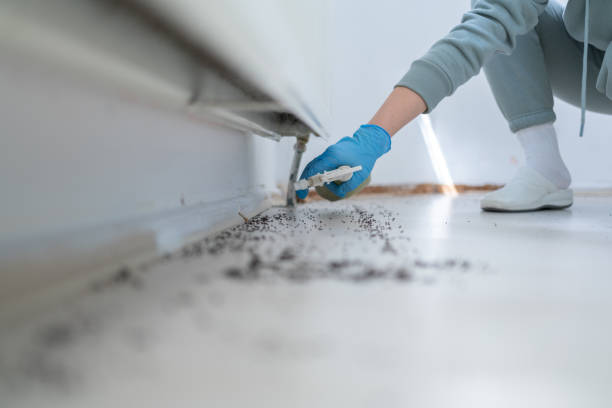 Best Rodent Control Near Me  in Oak Harbor, WA